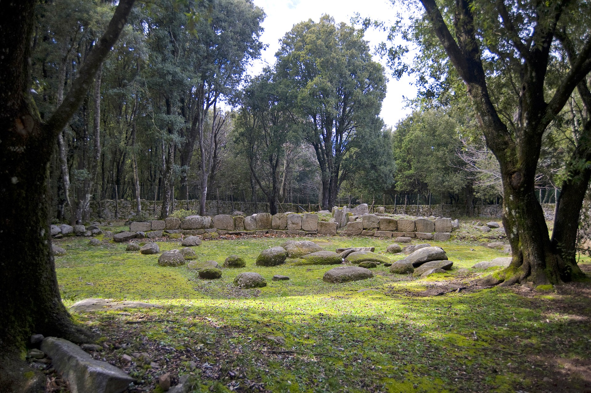 Parco archeologico del bosco di Seleni | SardegnaTurismo - Sito ufficiale  del turismo della Regione Sardegna