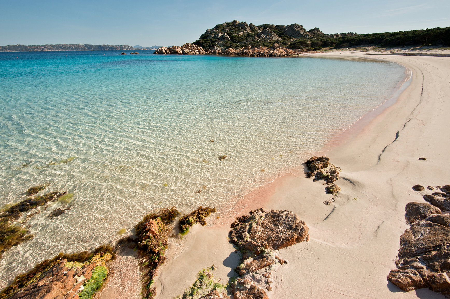 Risultati immagini per spiaggia rosa budelli