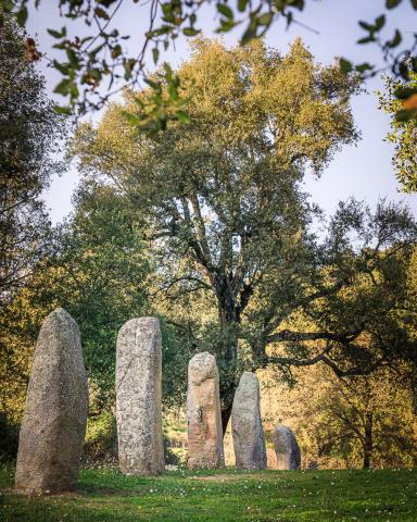 '  - :    
 Al centro esatto della Sardegna c’è un luogo che emana sacralità e genera suggestione, è '    '  ('sentiero delle teste'), il più grande e importante insediamento di menhir del Mediterraneo.

⏳ I più antichi, proto-antropomorfi, risalgono al N