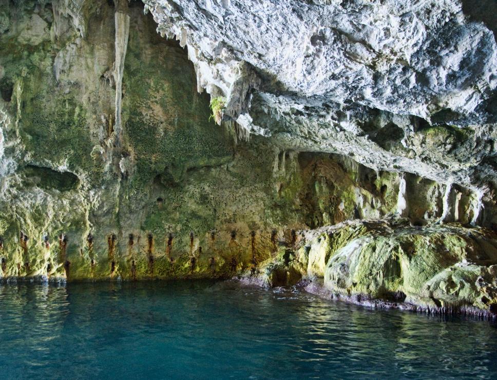 Grotta del Bue Marino - Cala Gonone