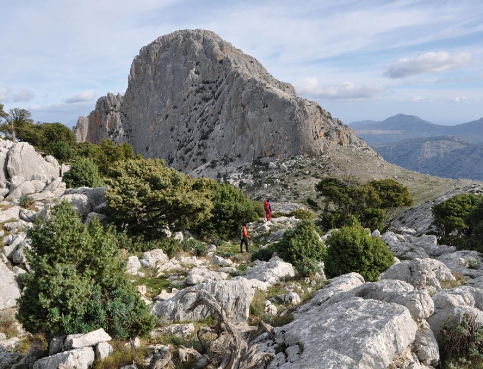 Trekking Selvaggio Blu