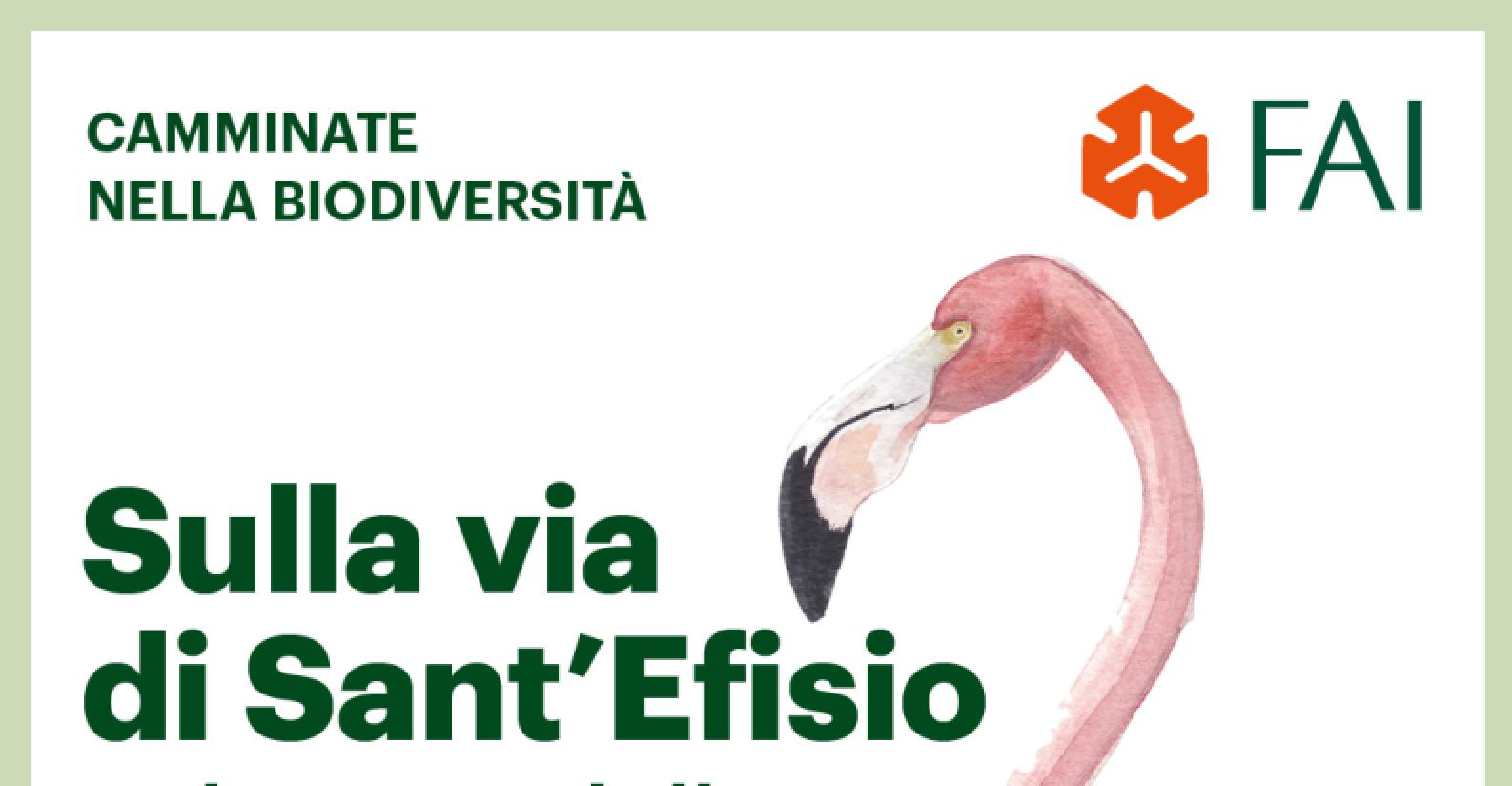 fai_via_santefisio fai_via_santefisio