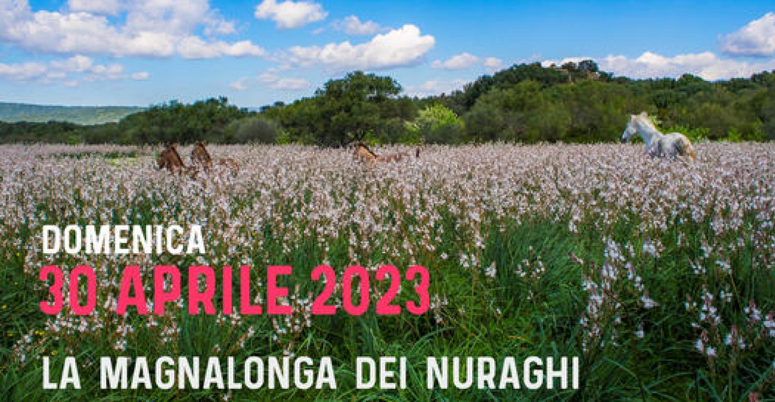 magnalonga_dorgalese 2023.