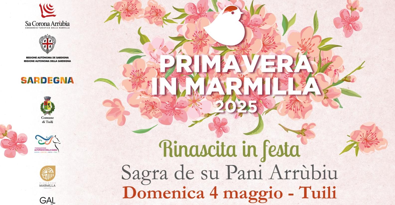 pim_tuili2025 PiM_Tuili2025