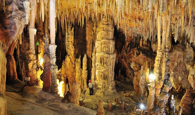 Grotte del Bue Marino | SardegnaTurismo - Sito ufficiale del turismo della  Regione Sardegna