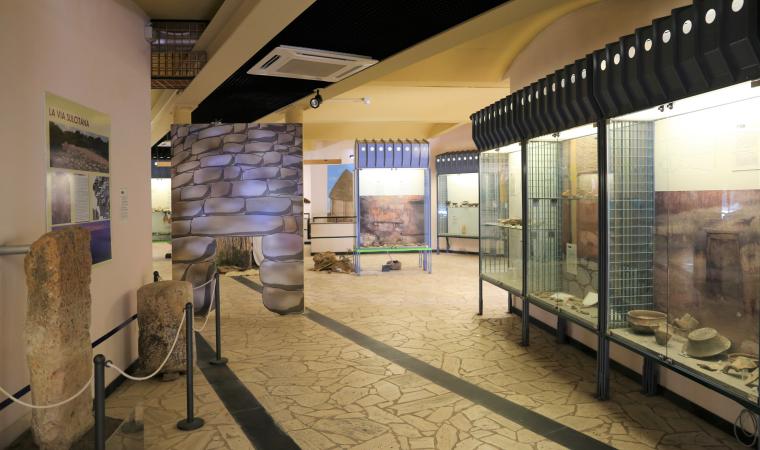 Carbonia, civico museo archeologico, interno