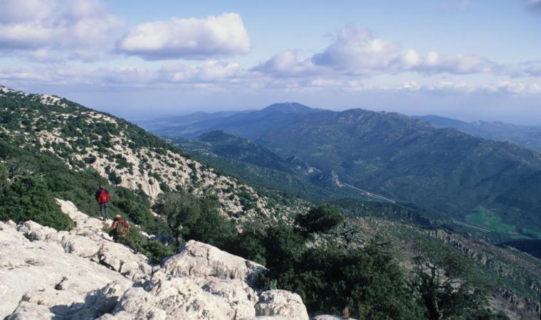 Monte Albo - Baronie