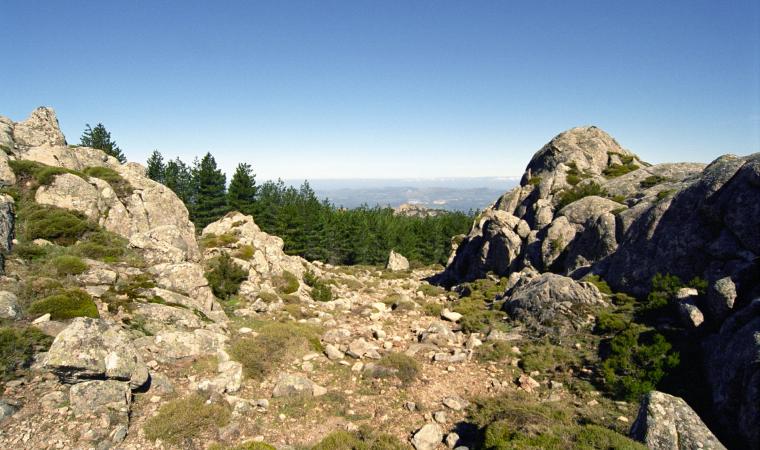 Monti del Limbara - Berchidda