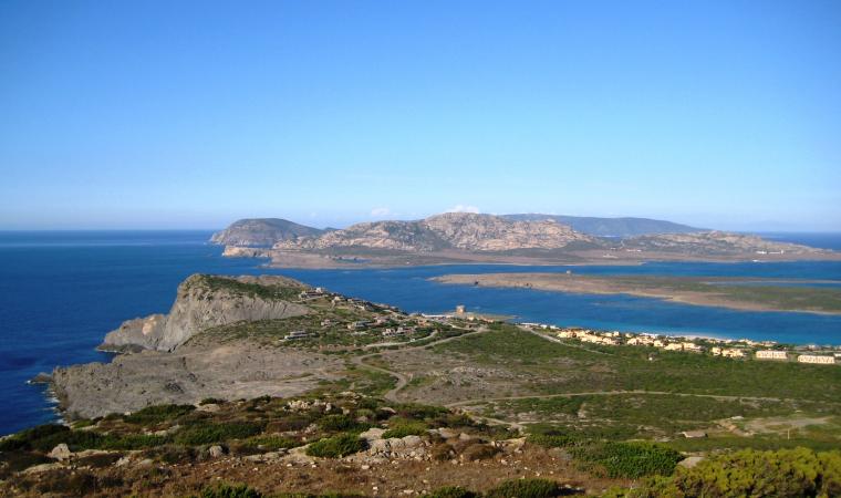 Capo Falcone visto dalla torre del Falcone - Stintino