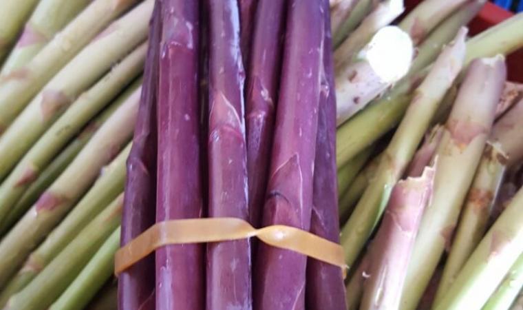 Sagra della Primavera