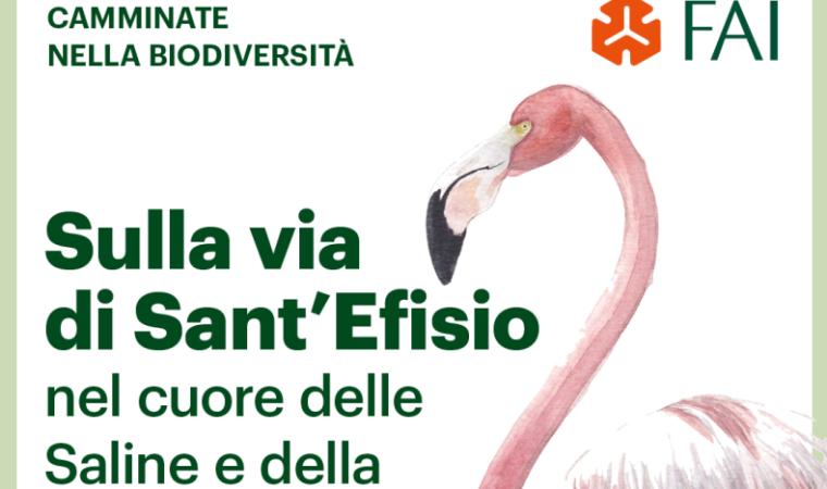 fai_via_santefisio