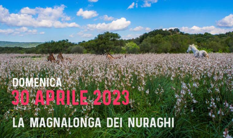 magnalonga_dorgalese 2023.
