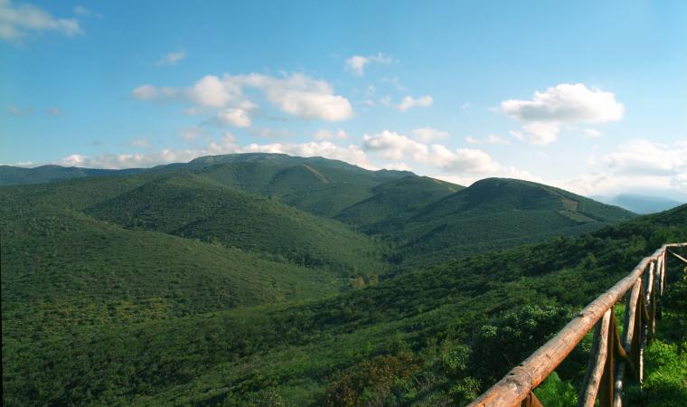Foresta Campidano - sentiero Bruncu Mogumu