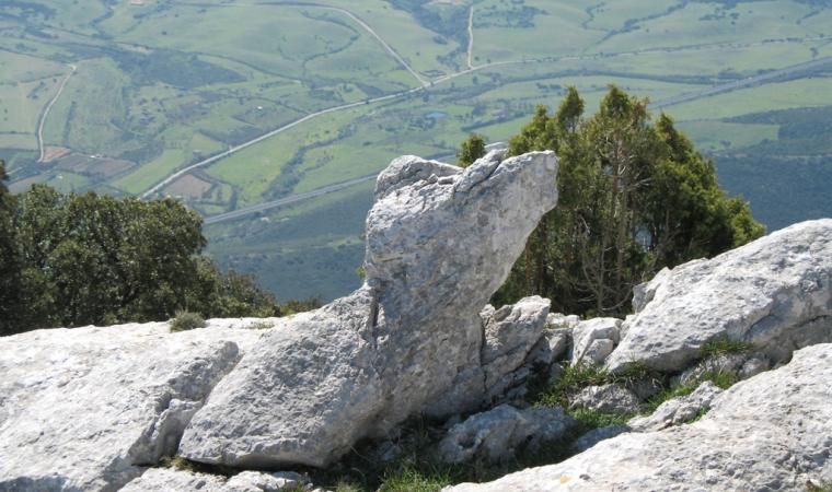 Roccia del monte Albo - Lodè