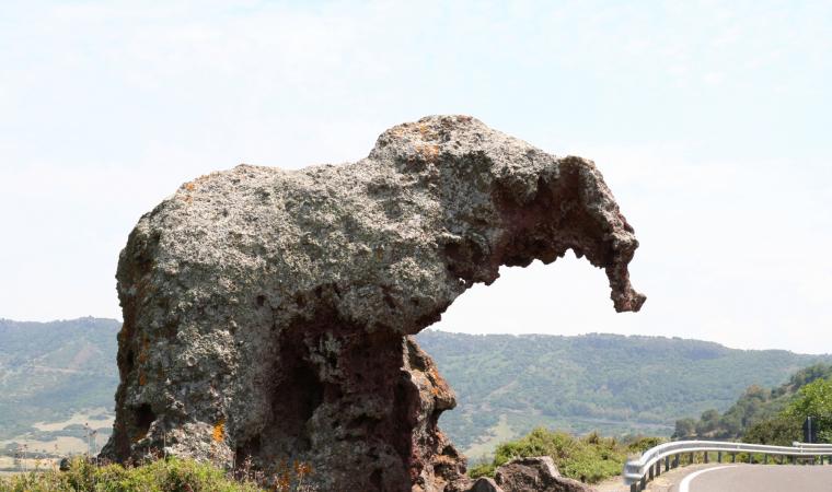 Roccia dell'elefante - Castelsardo