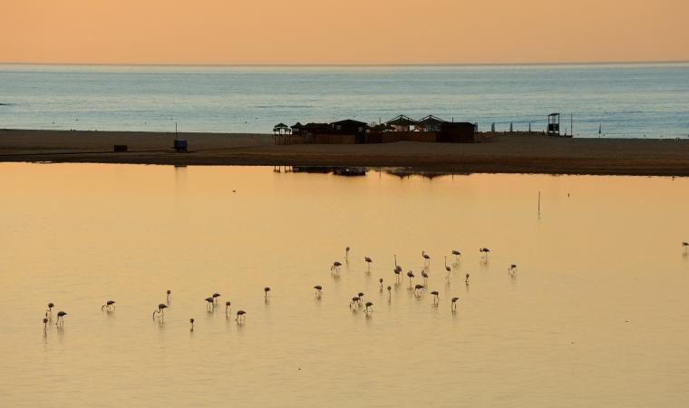 Stagno di San Teodoro