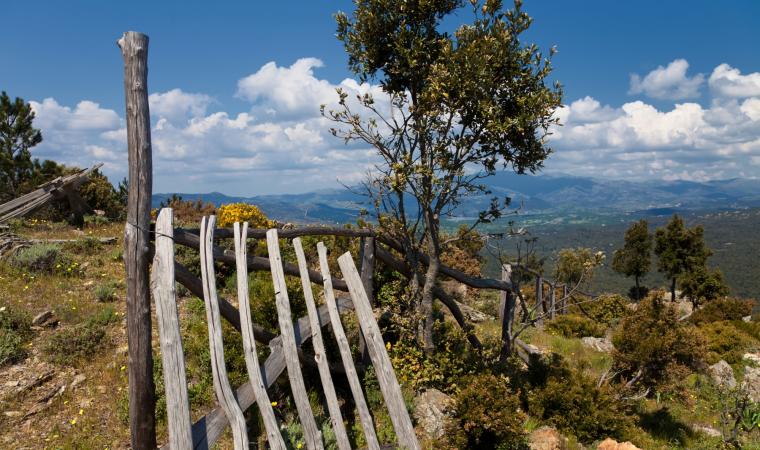 Supramonte, vista