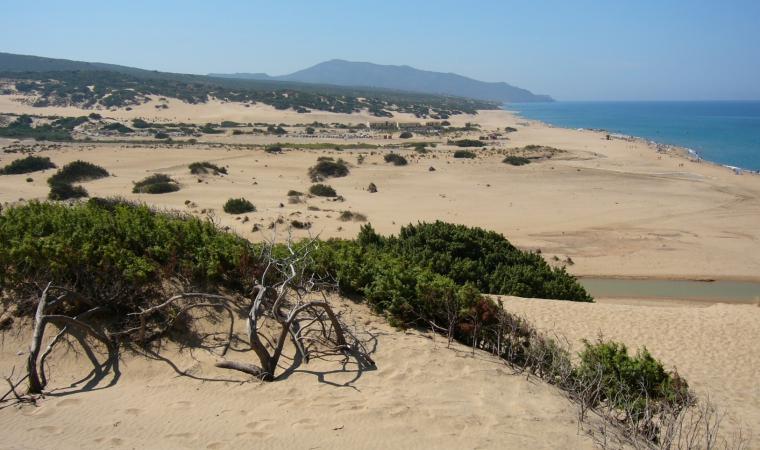 Spiaggia di Piscinas, particolare dune  - Costa Verde 