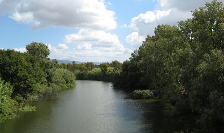Veduta del fiume Tirso - Simaxis