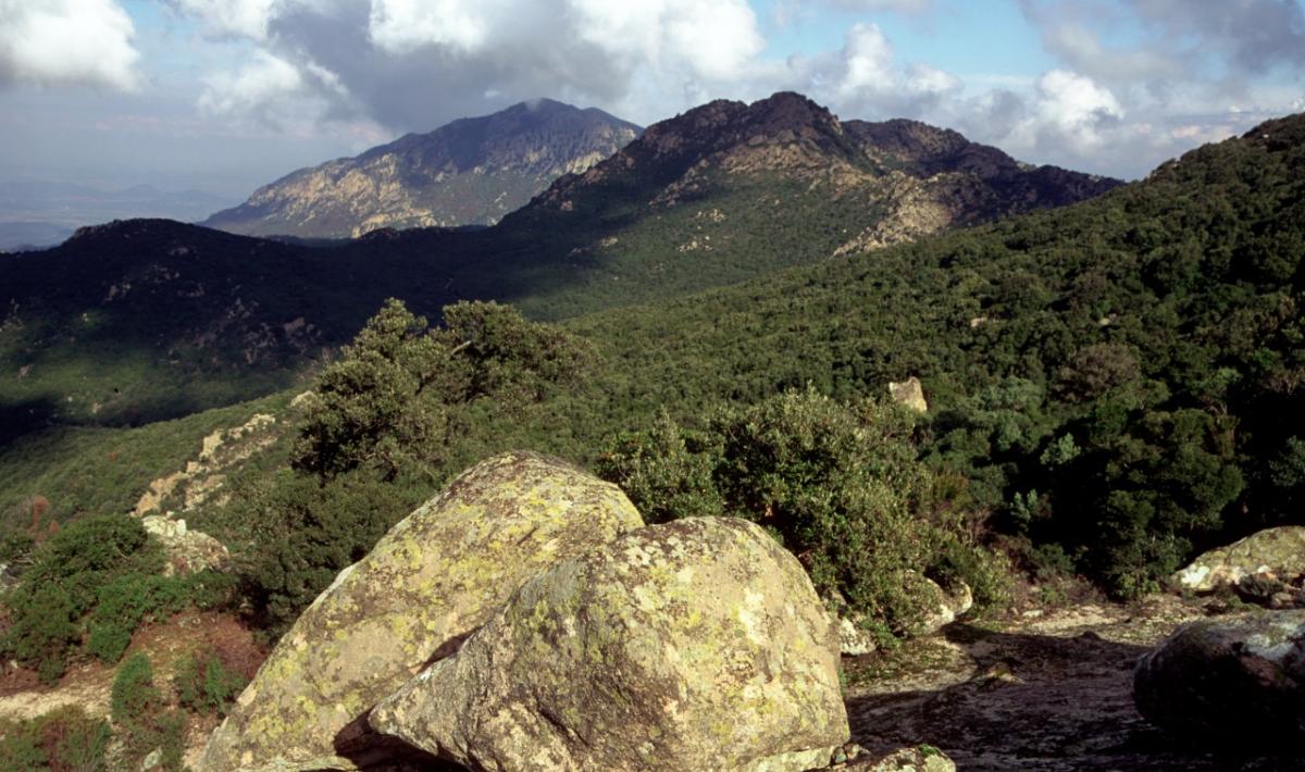  Monte Arcosu - Oasi del WWF 