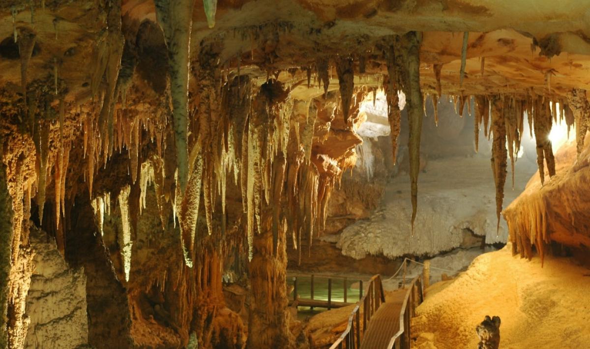 Grotta del Fico | SardegnaTurismo - Sito ufficiale del turismo della  Regione Sardegna